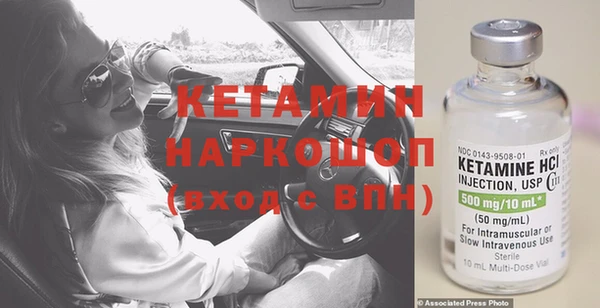 прущие грибы Михайлов