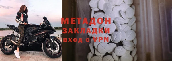 прущие грибы Михайлов