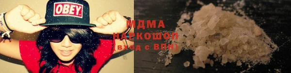 прущие грибы Михайлов