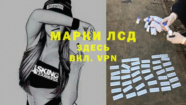 прущие грибы Михайлов