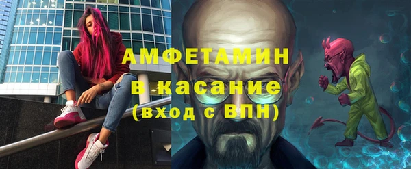 прущие грибы Михайлов
