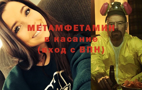 прущие грибы Михайлов
