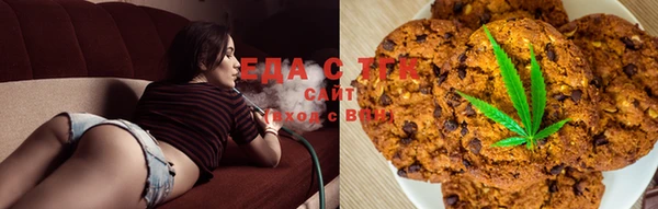 прущие грибы Михайлов