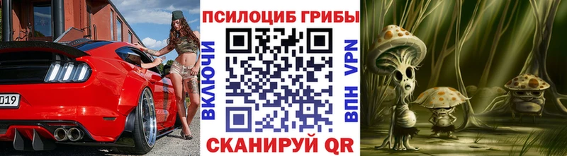Купить закладки  Райчихинск  Псилоцибиновые грибы мухоморы 